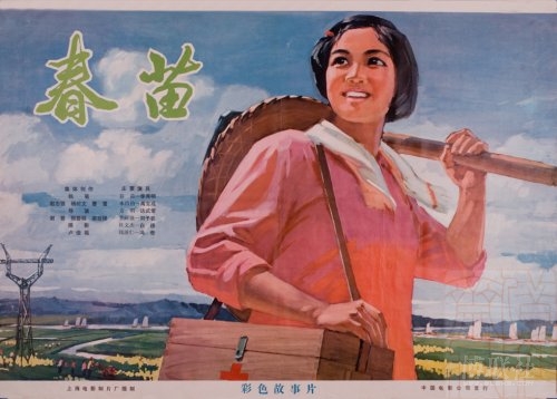 Memominee:Stout商业管理文凭证书